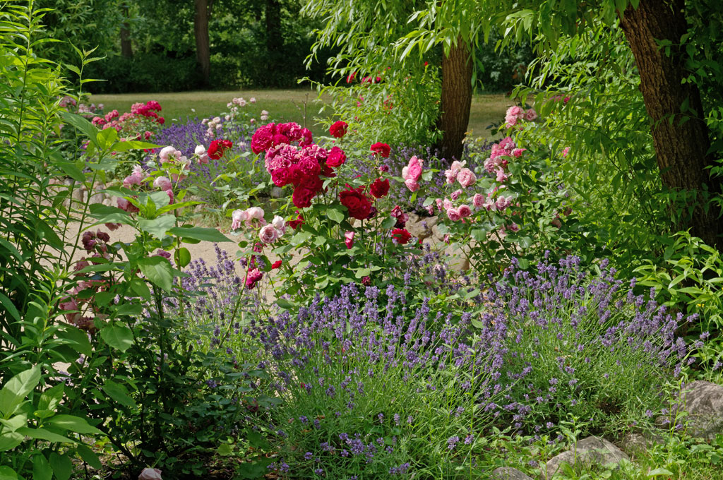 Hotel Schloss Reichenow Garten